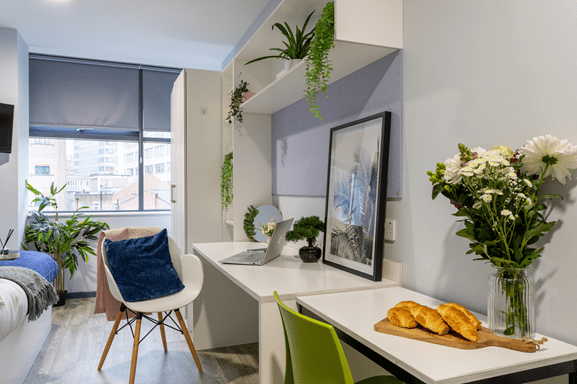 Dwell Student Living Archer House Bronze Studio