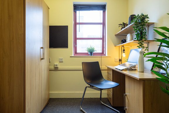 Bronze Non Ensuite | 3 or 4 居室 Image