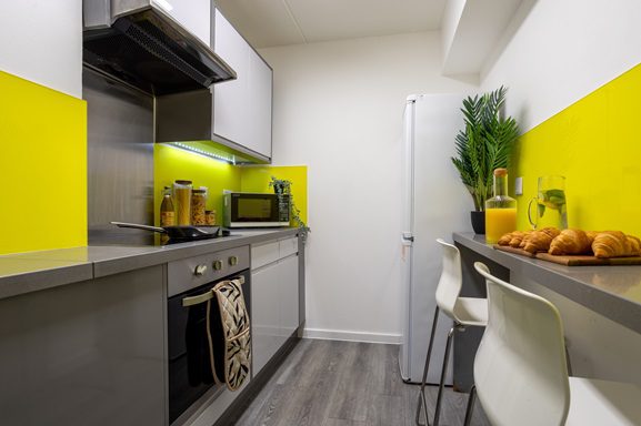 Silver Non Ensuite – Large | 3 or 4 居室 Image