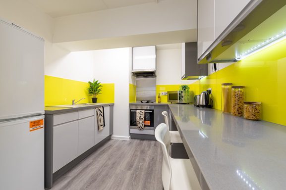 Silver Plus Non Ensuite | 4 居室 Image