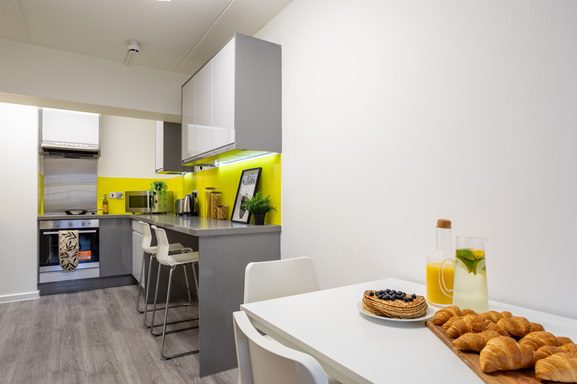 Silver Plus Non Ensuite | 4 居室 Image