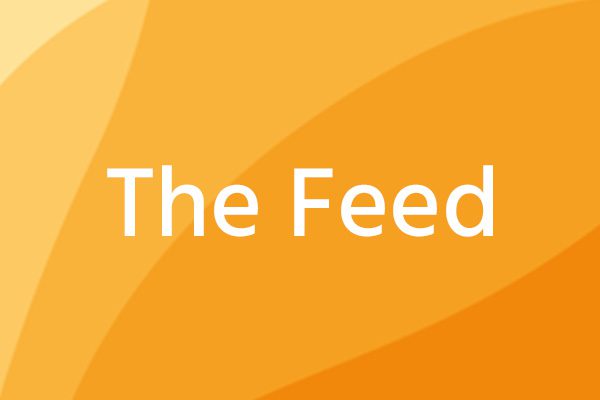 The Feed