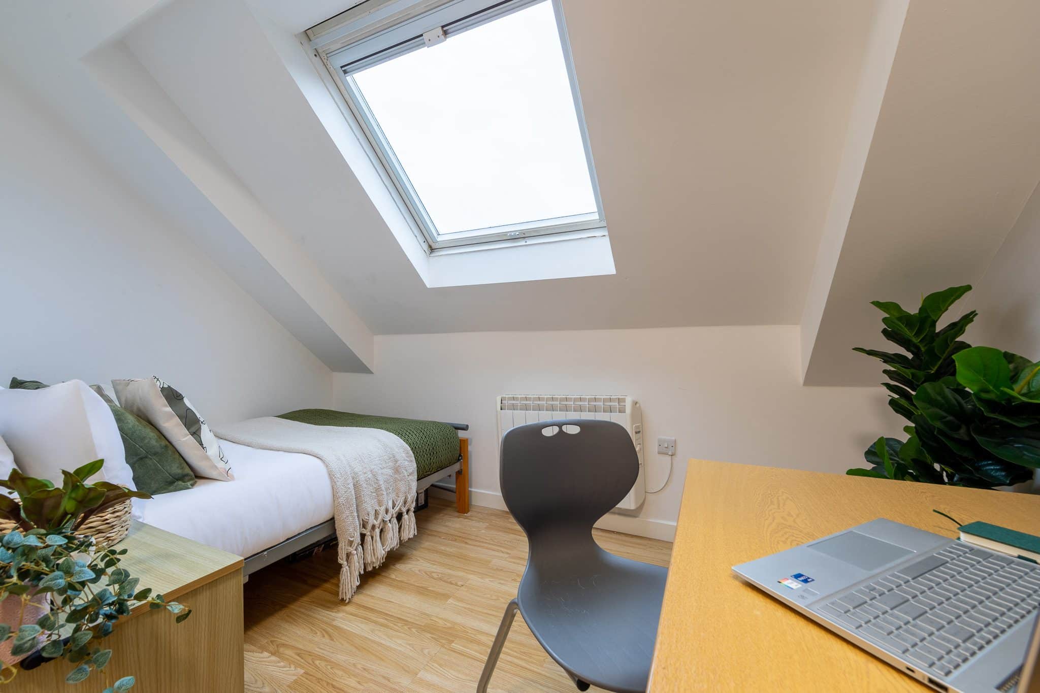 Bronze Ensuite | 5 or 6 居室 Image